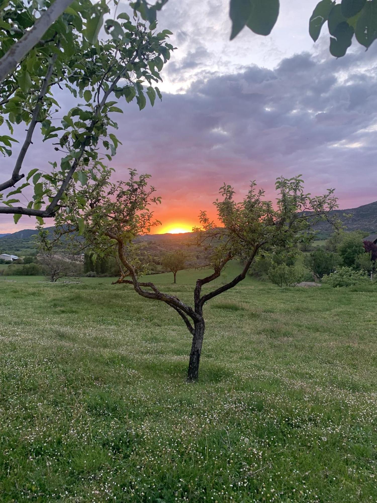Regalate Paz Villa Estallo Dış mekan fotoğraf